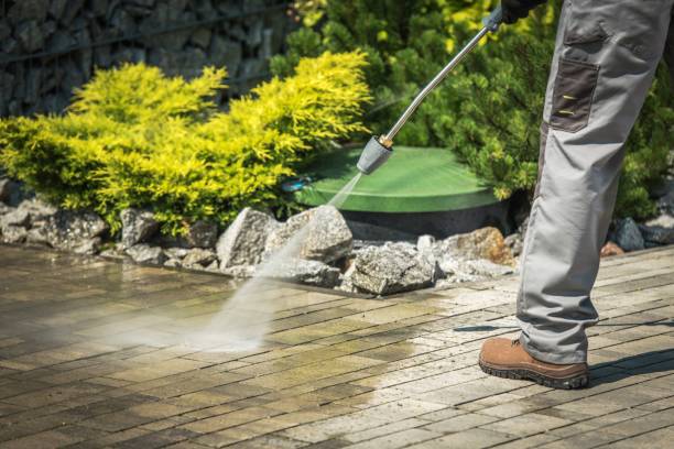 Best Driveway Pressure Washing  in Newhall, IA