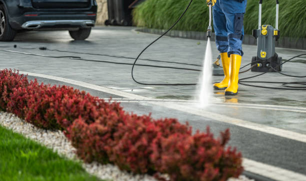 Best Gutter Cleaning  in Newhall, IA